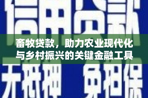 龙崎畜牧贷款，助力农业现代化与乡村振兴的关键金融工具