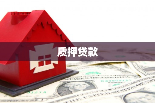 分宜质押贷款