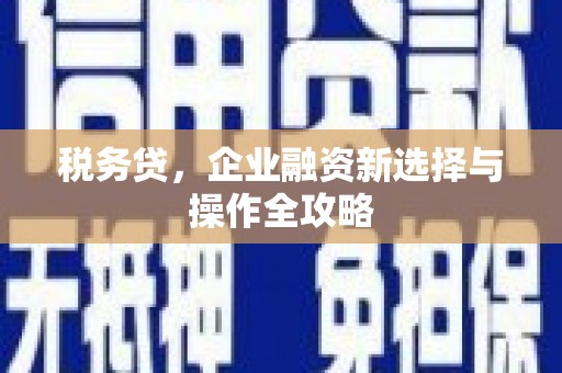 营口税务贷，企业融资新选择与操作全攻略