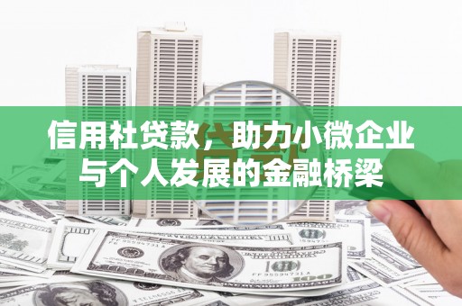 普湾新区信用社贷款，助力小微企业与个人发展的金融桥梁