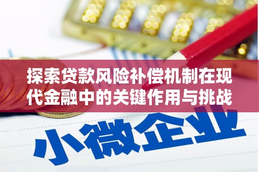 中方探索贷款风险补偿机制在现代金融中的关键作用与挑战