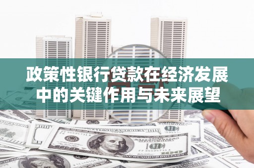 连云政策性银行贷款在经济发展中的关键作用与未来展望