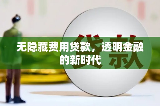 洪洞无隐藏费用贷款，透明金融的新时代