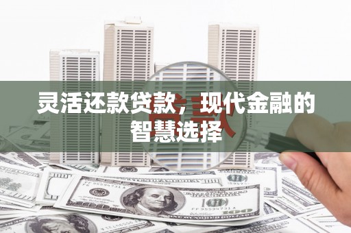 洛扎灵活还款贷款，现代金融的智慧选择