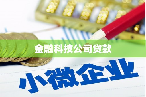 宁武金融科技公司贷款