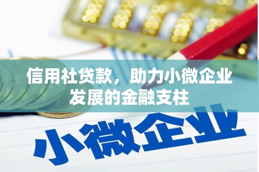 贵德信用社贷款，助力小微企业发展的金融支柱
