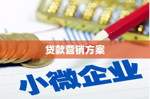 夏邑贷款营销方案