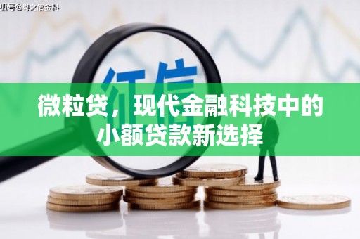 阳曲微粒贷，现代金融科技中的小额贷款新选择
