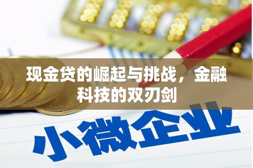 冷水江现金贷的崛起与挑战，金融科技的双刃剑