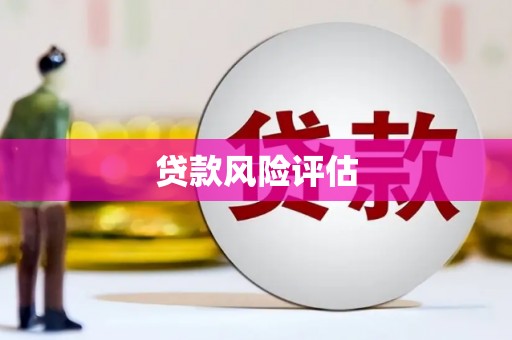 迭部贷款风险评估