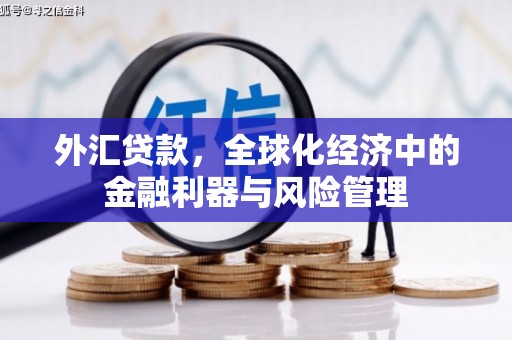 安仁外汇贷款，全球化经济中的金融利器与风险管理