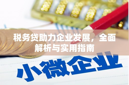 叶县税务贷助力企业发展，全面解析与实用指南