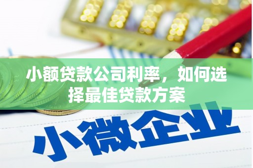 红岗小额贷款公司利率，如何选择最佳贷款方案