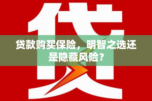 临漳贷款购买保险，明智之选还是隐藏风险？