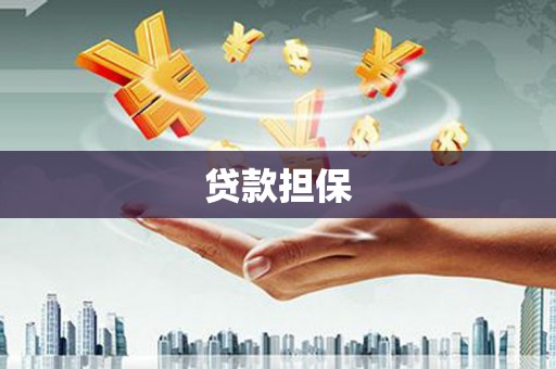 嘉禾贷款担保