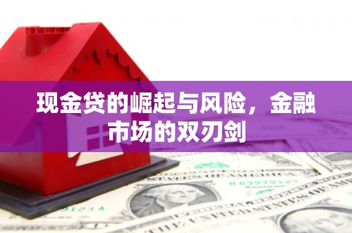 凤山现金贷的崛起与风险，金融市场的双刃剑