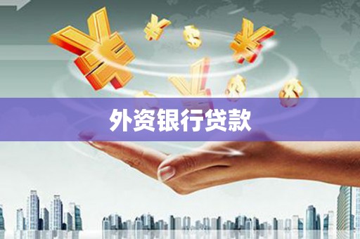 峰峰矿区外资银行贷款