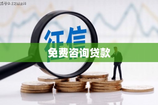 柳东免费咨询贷款