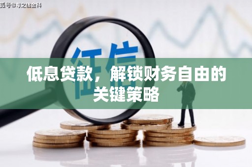 白银低息贷款，解锁财务自由的关键策略
