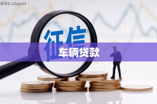 舞钢车辆贷款