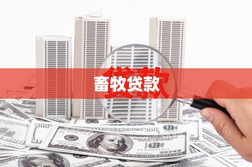 上林畜牧贷款