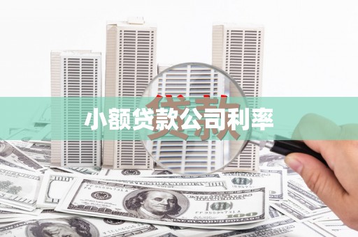 特克斯小额贷款公司利率