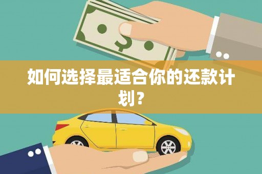 朔城如何选择最适合你的还款计划？