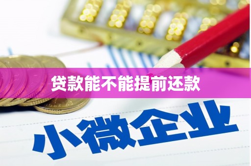 拉孜贷款能不能提前还款