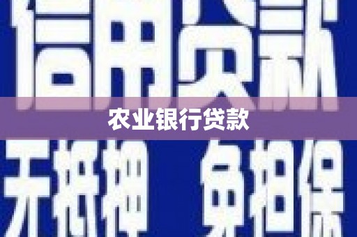 秦淮农业银行贷款