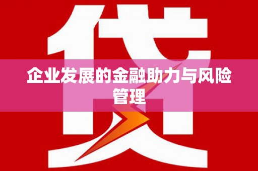 龙川企业发展的金融助力与风险管理