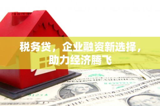 宁夏税务贷，企业融资新选择，助力经济腾飞