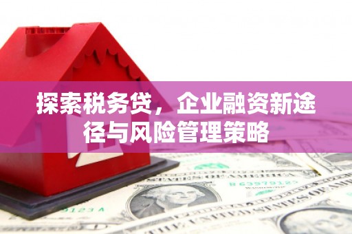泽普探索税务贷，企业融资新途径与风险管理策略