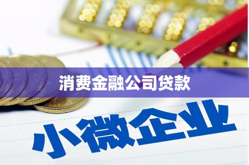 文安消费金融公司贷款