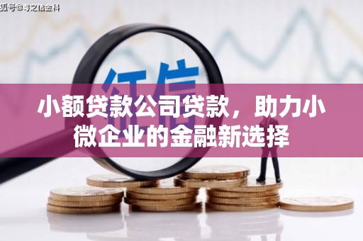 错那小额贷款公司贷款，助力小微企业的金融新选择