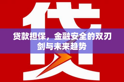 平舆贷款担保，金融安全的双刃剑与未来趋势