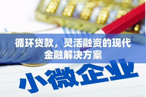 谢岗循环贷款，灵活融资的现代金融解决方案