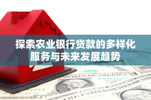 施甸探索农业银行贷款的多样化服务与未来发展趋势