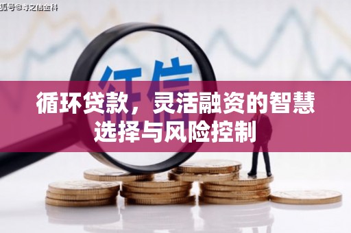 宜良循环贷款，灵活融资的智慧选择与风险控制