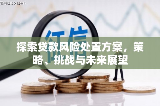 江海探索贷款风险处置方案，策略、挑战与未来展望