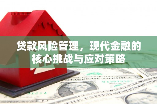 怀远贷款风险管理，现代金融的核心挑战与应对策略