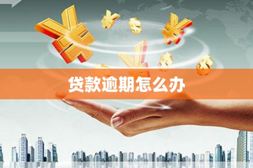 仙游贷款逾期怎么办
