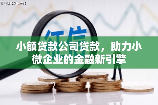 尼勒克小额贷款公司贷款，助力小微企业的金融新引擎