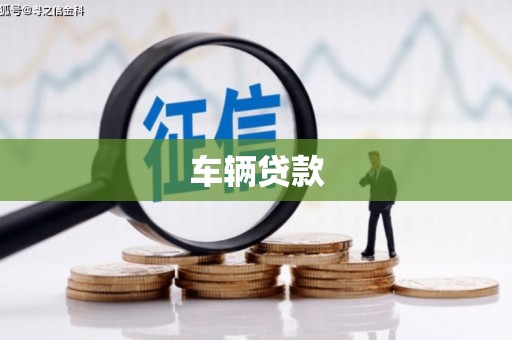 芦洲车辆贷款