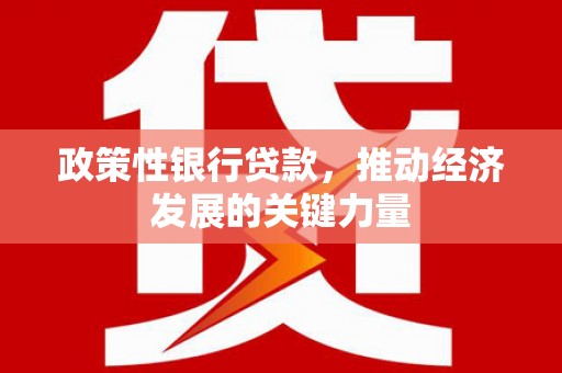 山西政策性银行贷款，推动经济发展的关键力量