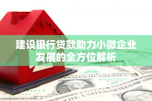 新乡建设银行贷款助力小微企业发展的全方位解析