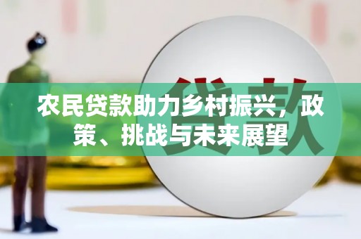 莱西农民贷款助力乡村振兴，政策、挑战与未来展望