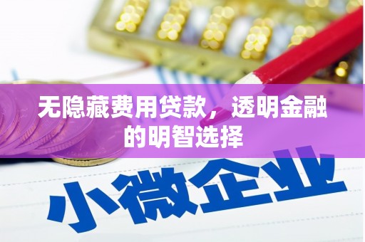 大通无隐藏费用贷款，透明金融的明智选择
