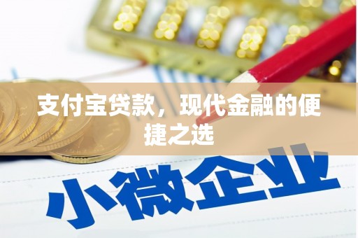 美兰支付宝贷款，现代金融的便捷之选