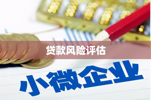 措勤贷款风险评估