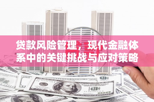 卢龙贷款风险管理，现代金融体系中的关键挑战与应对策略